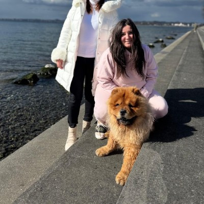 Meeg — Hausfee Wien